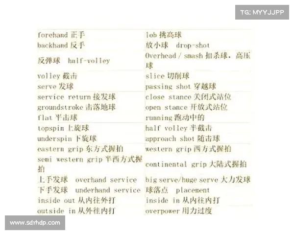 网球比赛评分规则全面解析与细节解读：从发球到最终得分的全程解析