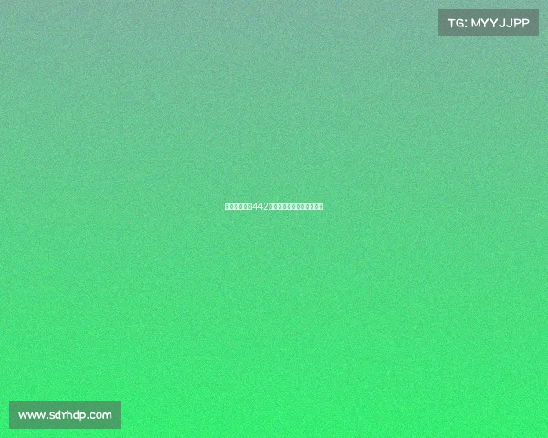 西甲球队经典442阵型解析及其战术运用探索 西甲球队经典442阵型解析及其战术运用探索