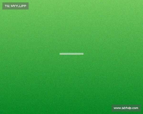 马赛：法国地中海明珠的历史与文化探索之旅