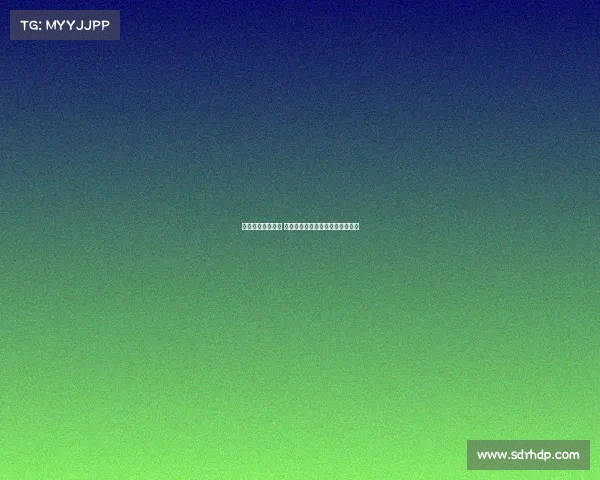 欧冠新规正式实施 强化球队竞争力与市场吸引力分析