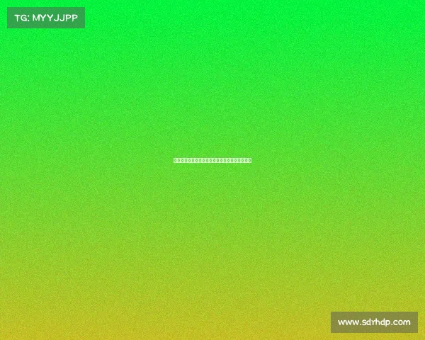 足球俱乐部转会资金使用计划制定与优化策略分析