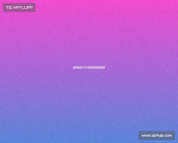 西甲球队经典442阵型解析及其战术运用探索